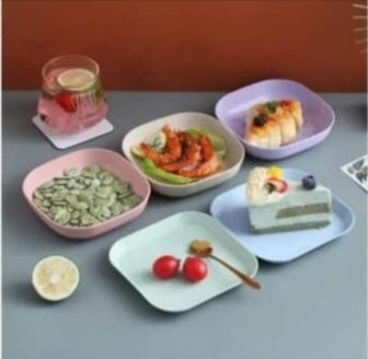 10pcs Plates Set With Holder (Random Colours)